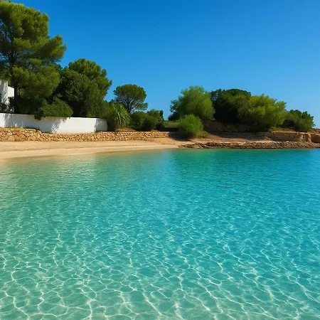 Wind Rose Exclusive -natural Pool 50 M From The Sea Holiday home Olbia