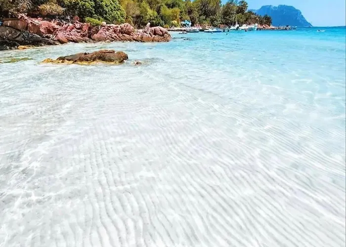 Wind Rose -group House Near The Sea Feriehus Olbia