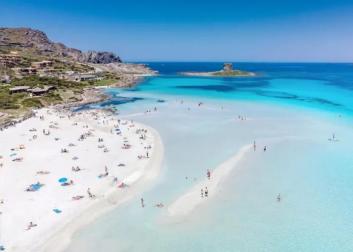 Wind Rose -group House Near The Sea Olbia