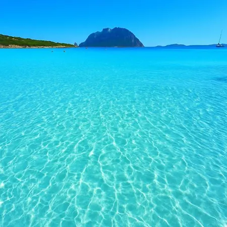 Semesterbostad Wind Rose -group House Near The Sea
