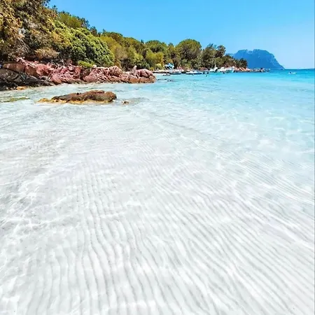 Wind Rose -group House Near The Sea Casa de Férias Olbia