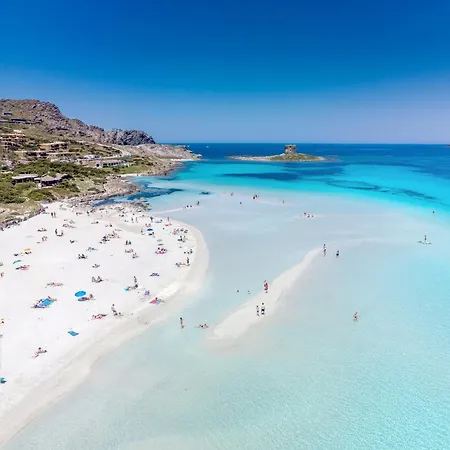 Wind Rose -group House Near The Sea Olbia