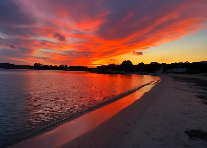Сasa de vacaciones Wind Rose -group House Near The Sea Olbia